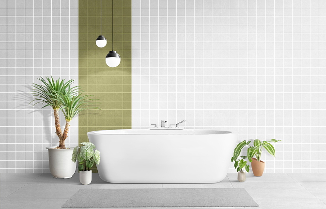 Bathroom & Balconies